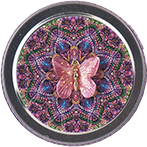 Butterfly Tin Butterfly Tin